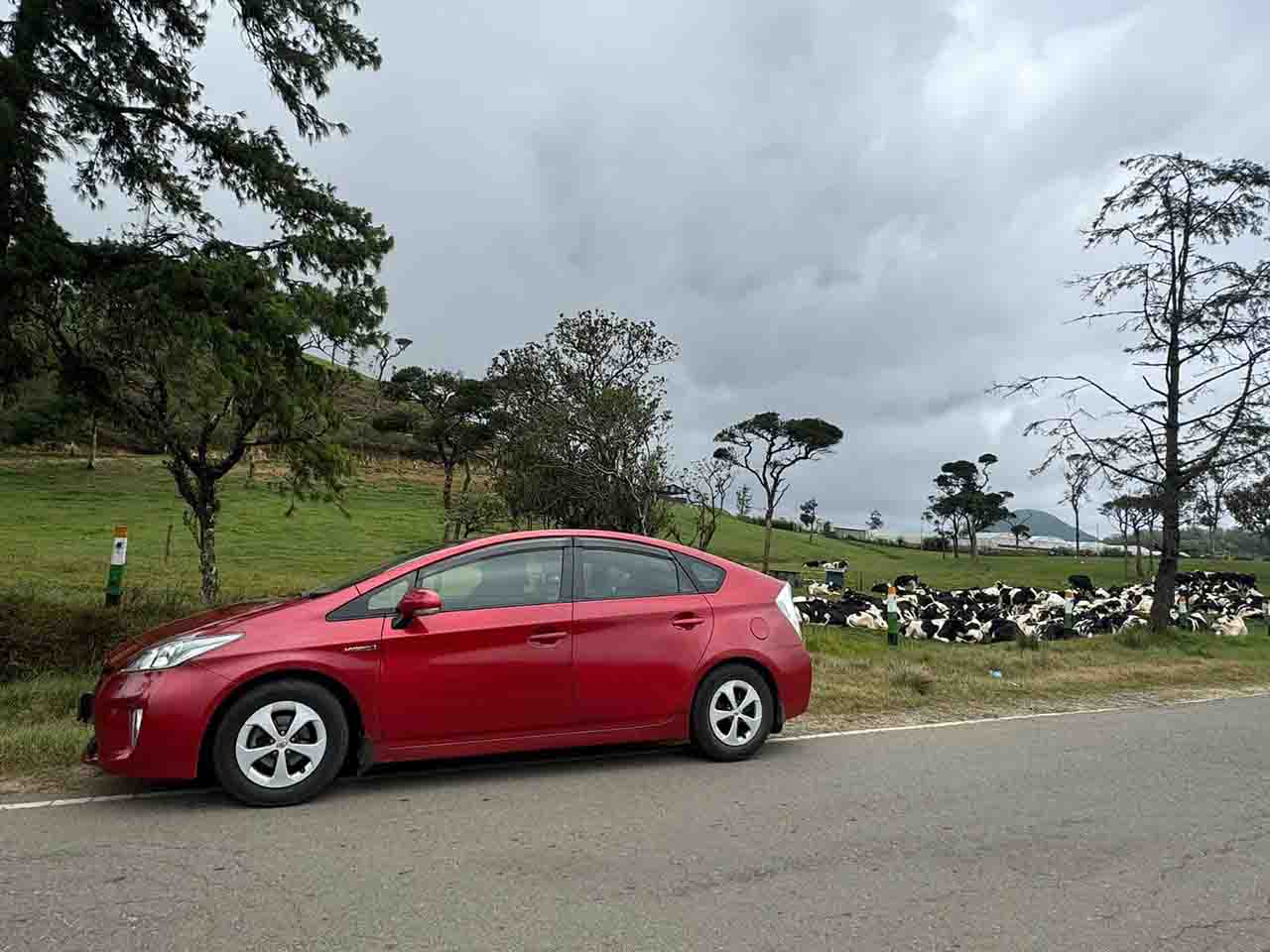 Cars